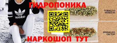 мескалин Гатчина