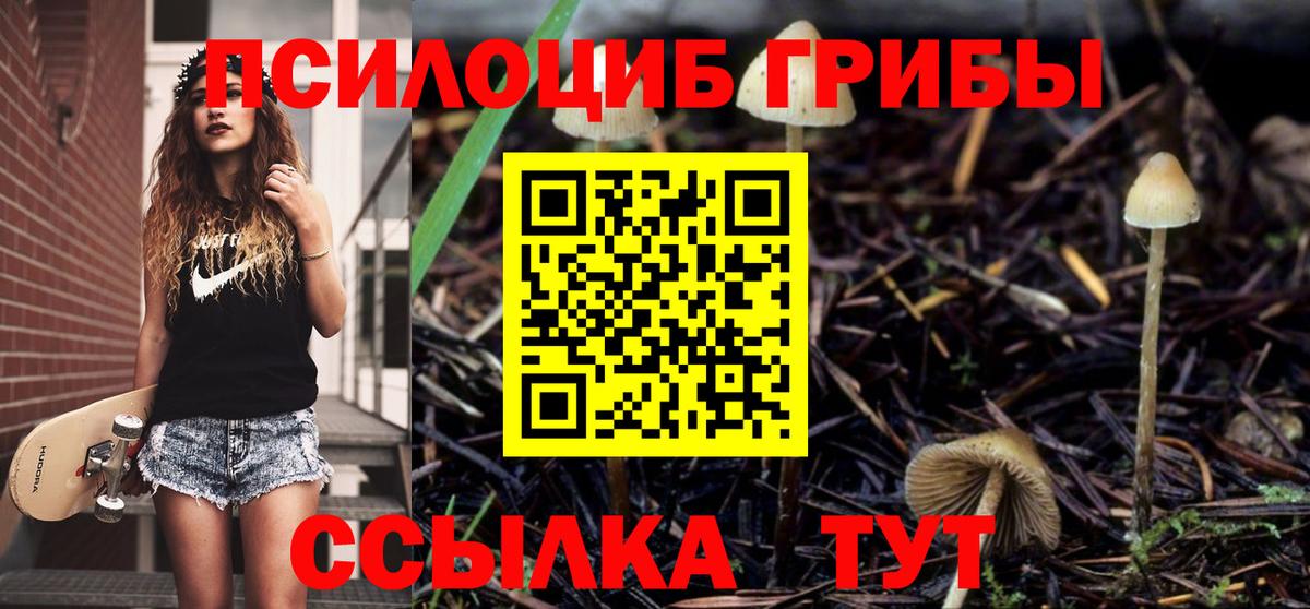 Галлюциногенные грибы Cubensis  Вход с VPN  Коммунар 