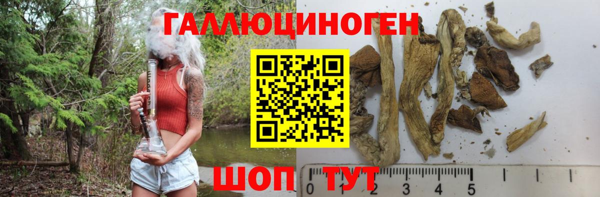Псилоцибиновые грибы мицелий Коммунар